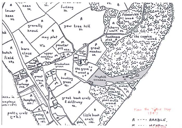 nc_tithe_map_1847