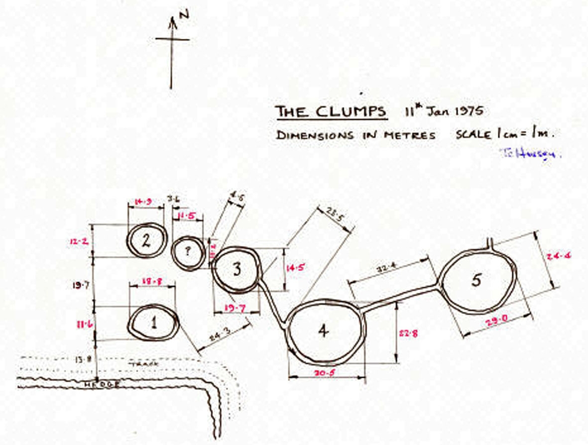 The Clumps